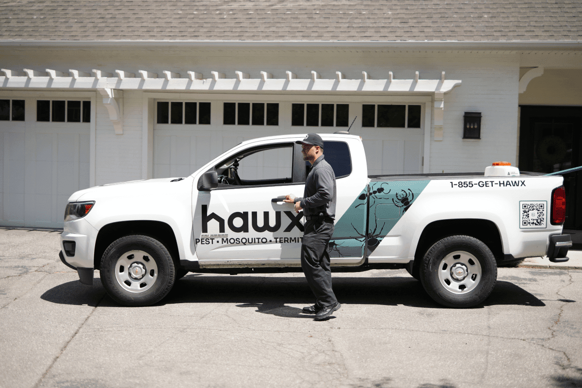 Transforming Pest Control: How Hawx Digitizes an Analog Industry